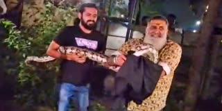 Snake Shyam rescued Python