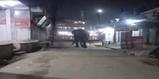 Elephant on Haridwar NH