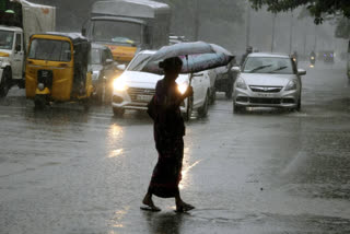 rains-continue-in-tamil-nadu-standing-crops-hit-in-cauvery-delta-areas