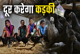 SHAHDOL KADAKNATH POULTRY