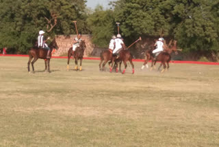 Jodhpur Polo Season