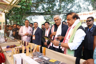 Assam Working With MEA To Change Perception About Northeast: Assam Chief Minister