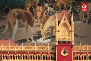 CALCUTTA HIGH COURT