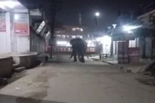 Elephant on Haridwar NH