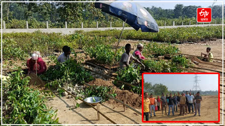 protest in Agia Goalpara