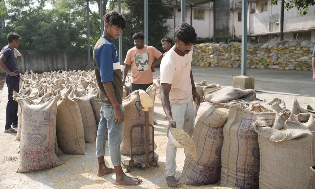 chhattisgarh paddy procurement