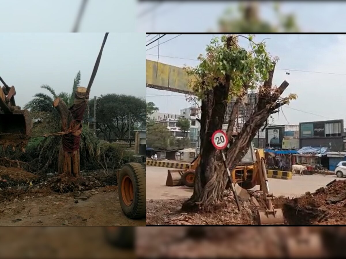 Trees shifted in railway area