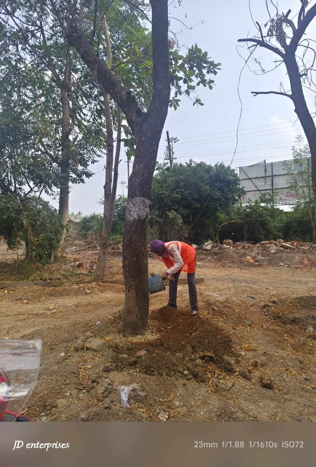 Trees shifted in railway area