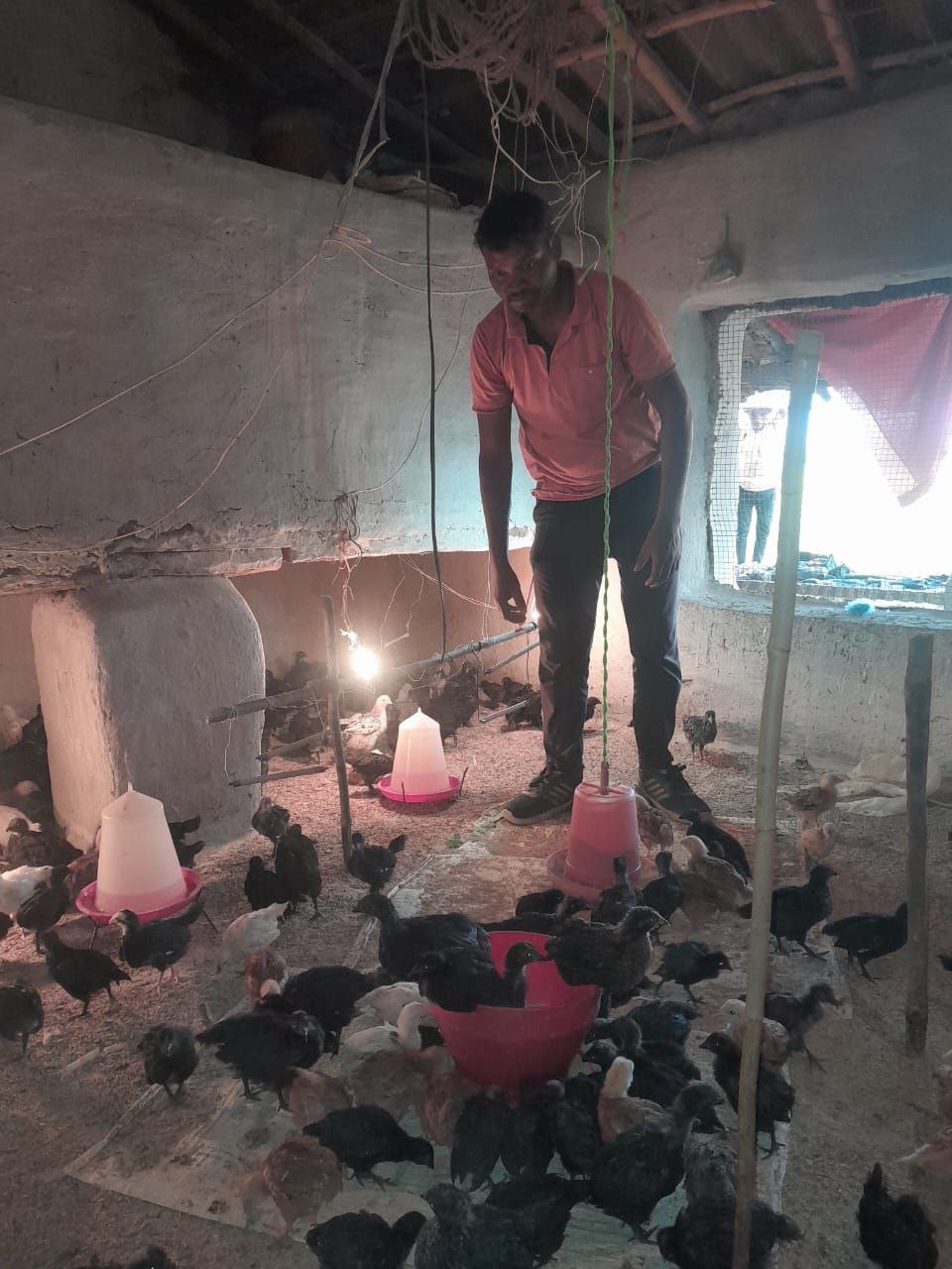 Shahdol Kadaknath Poultry