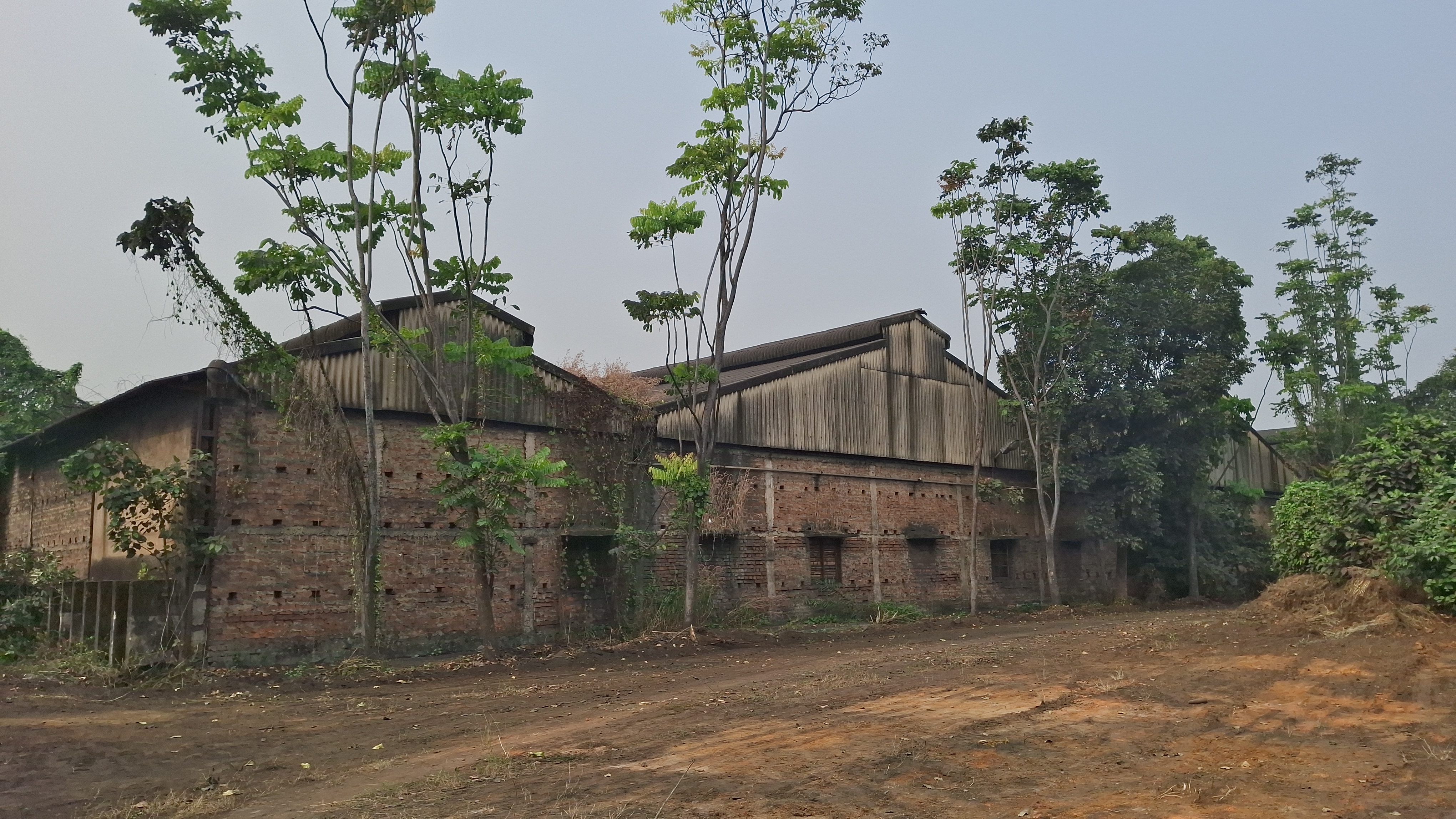 Jute Mill Reopens