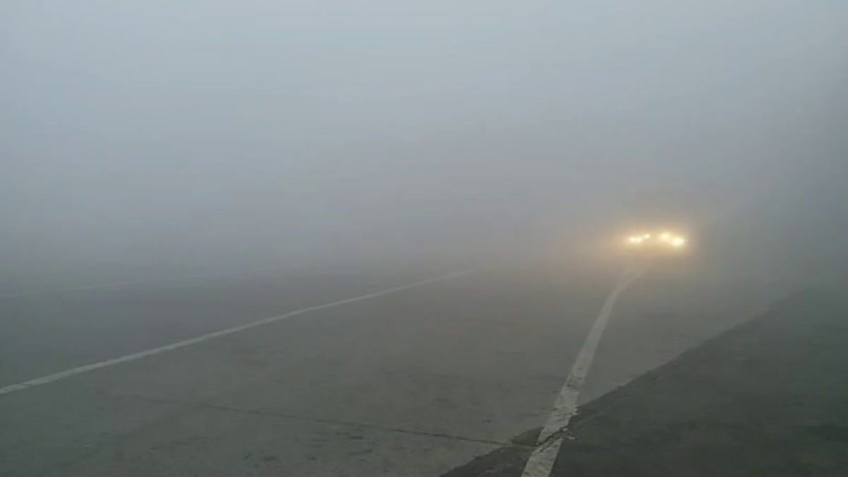Fog and Cold in Haryana