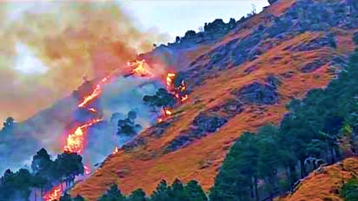 Kullu Forest Fire