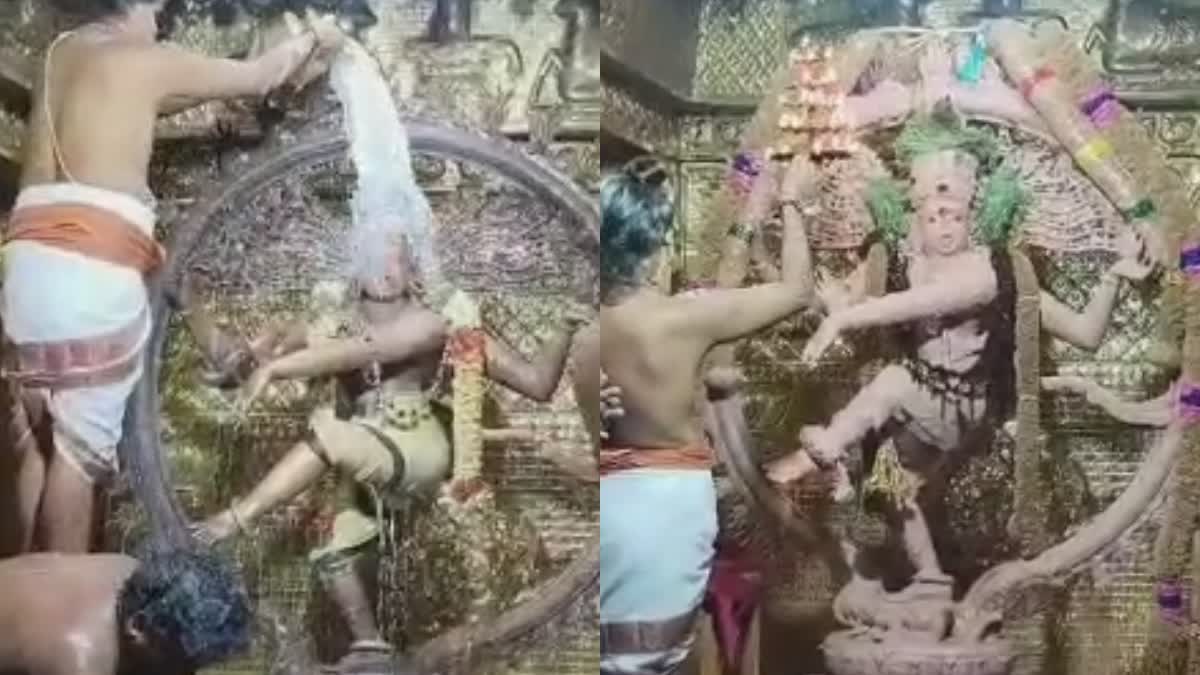 Arudra Darisanam special abhishekam