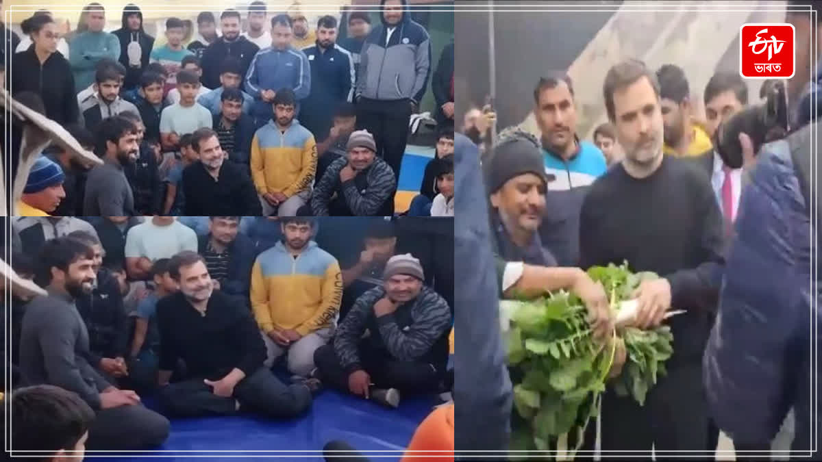 Rahul Gandhi visits Virender Arya Akhara