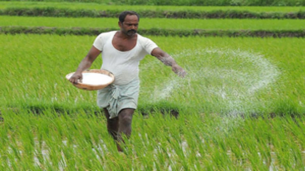 The soilless cultivation method developed by scientists, known as hydroponics, uses a root system that is stimulated electrically through a new cultivation substrate.