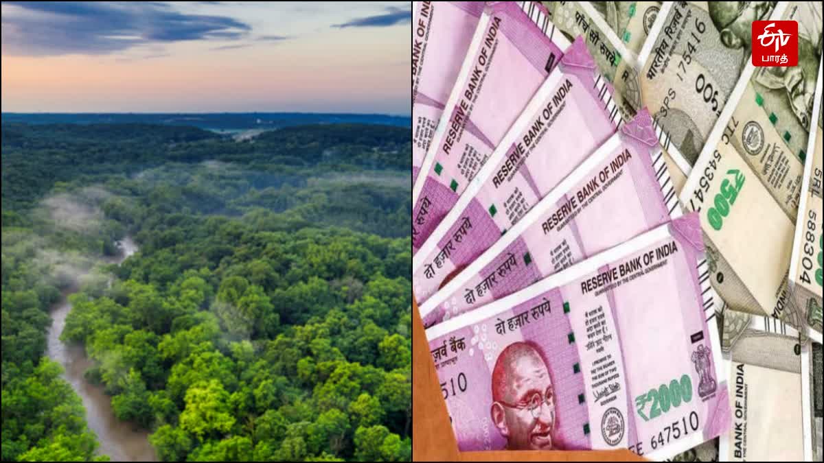 வன உயிரினங்களை வேட்டையாட முயன்ற 7 பேருக்கு ரூ.5.60 லட்சம் அபராதம்!, 7-people-fined-for-trying-to-hunt-wild-animals-at-sivagiri-in-tenkasi