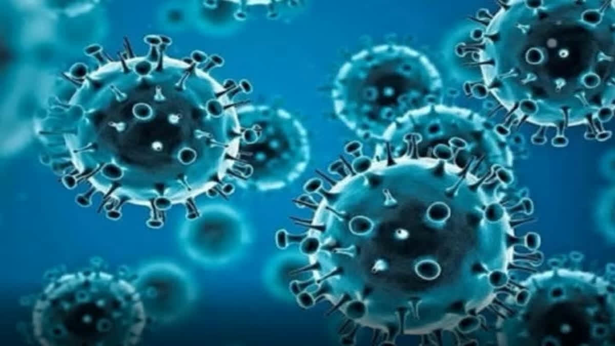 India recorded 529 fresh COVID-19 cases in a single day, while the country's active infection count stood at 4,093, the Health Ministry said on Wednesday.