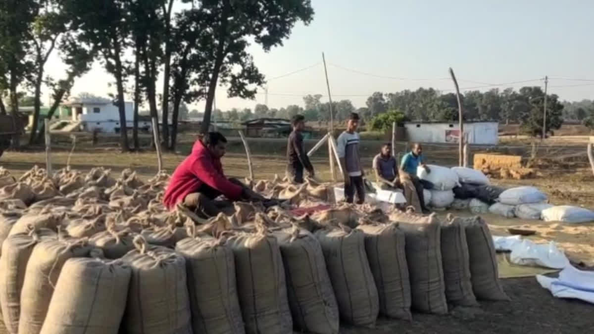 Farmers returned to paddy procurement centers