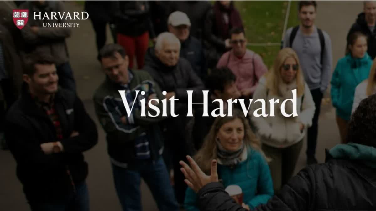 Harvard University endowment