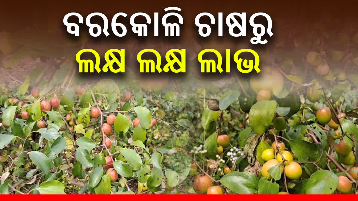 ଅନୁଗୋଳ ମାଟିରେ ଥାଇଲାଣ୍ଡ ବରକୋଳି