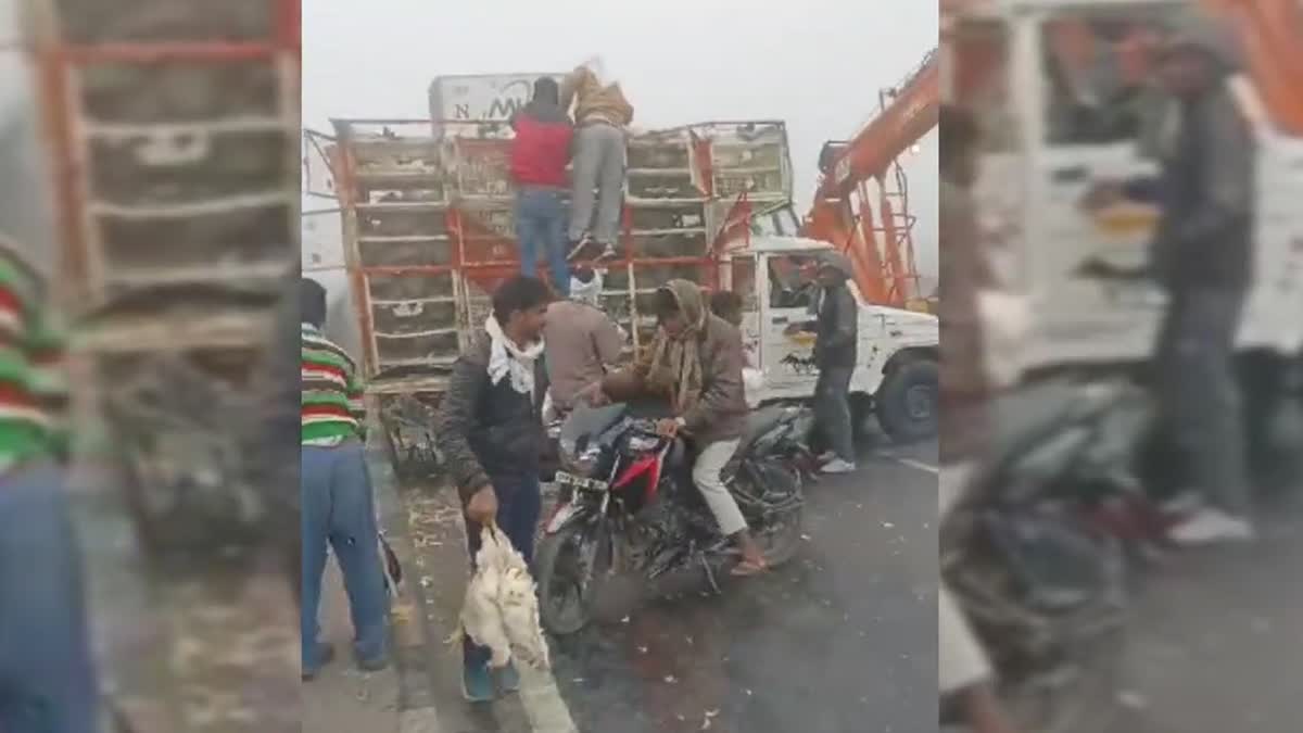 Passersby loot chicken from crashed load carrier after multi-vehicle accident on Firozabad National Highwa