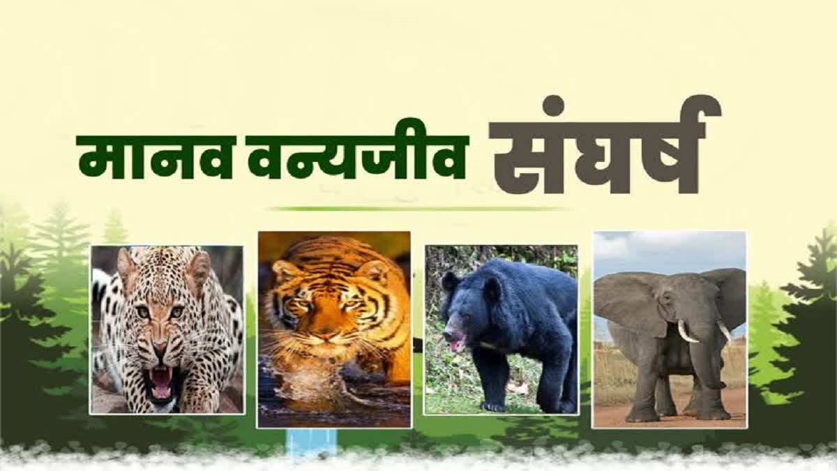 Human Wildlife Conflict in Uttarakhand