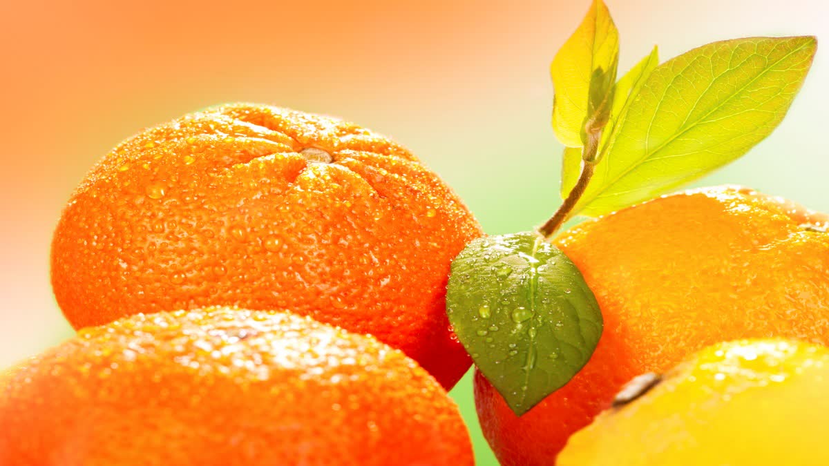 Orange peel News