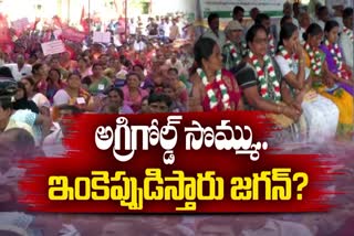 Jagan_Promises_to_Agri_Gold_Victims