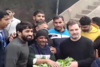 Congress MP Rahul Gandhi visits Virender Arya Akhara in Jhajjar interacts with Bajrang Punia and other wrestlers