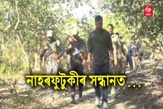 Leopard Terror in Majuli