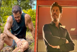 AskSRK session: Shan Rukh Khan's epic reply to fan who asked if he was aware of Salman's birthday