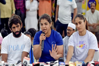 The Indian Olympic Association (IOA) on Wednesday formed a three-member of panel to run the Wrestling Federation of India (WFI).