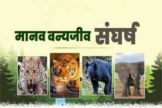 Human Wildlife Conflict in Uttarakhand