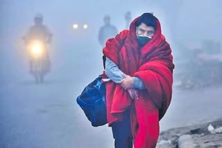 Fog Alert in Telangana