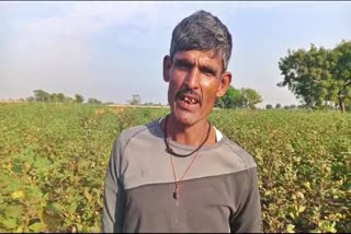 farmer  Mylarappa lost his cotton crop