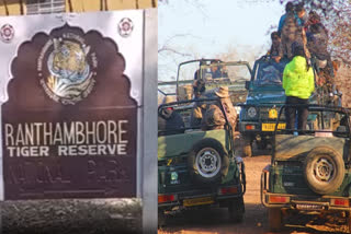 ticket booking in Ranthambore Tiger reserve