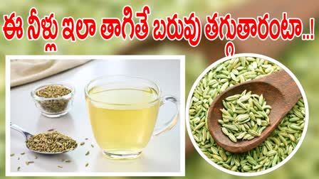 Fennel Seed Water Benefits