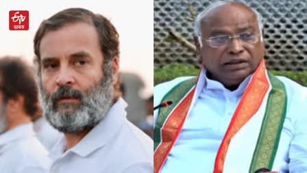 mallikarjun kharge rahul gandhi hold meets with andhra congress leaders