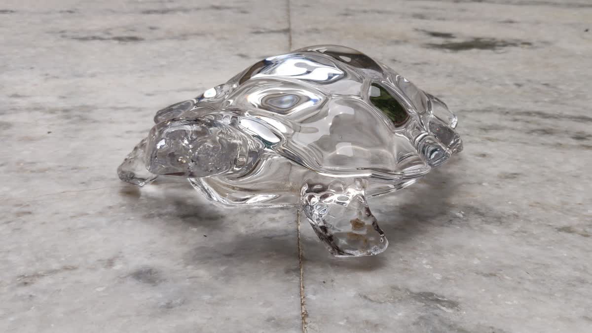 Crystal Tortoise Vastu In Telugu