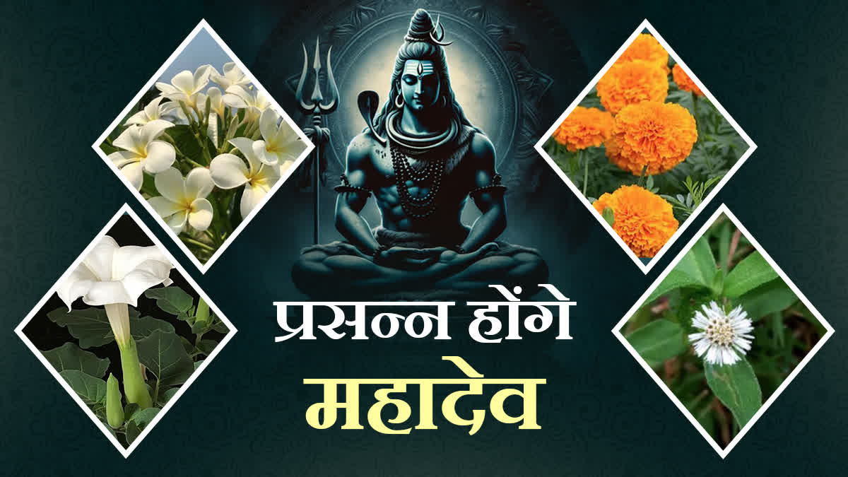 FLOWERS TO IMPRESS MAHADEV