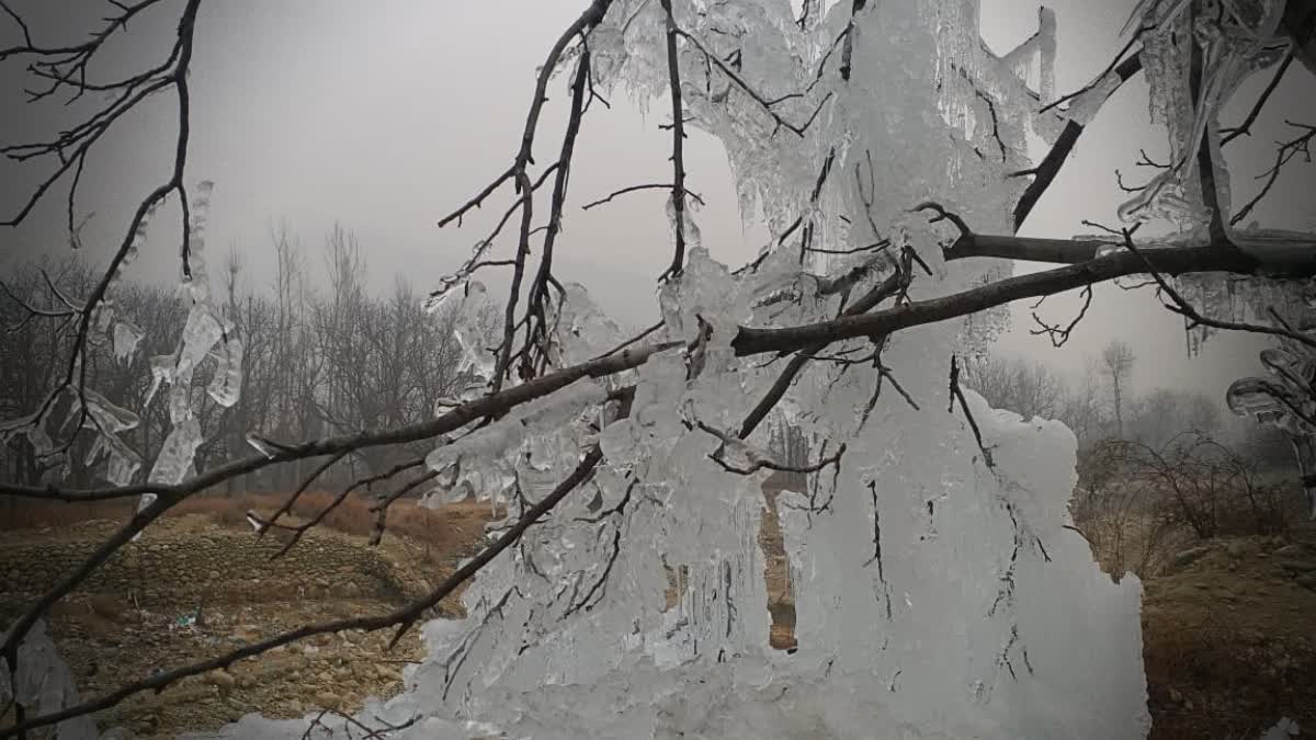 MeT Forecasts Light Rain, Snowfall In Jammu And Kashmir After Prolonged Dry Spell