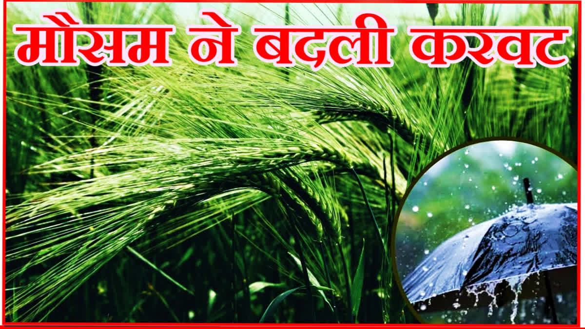 heavy rain in Haryana