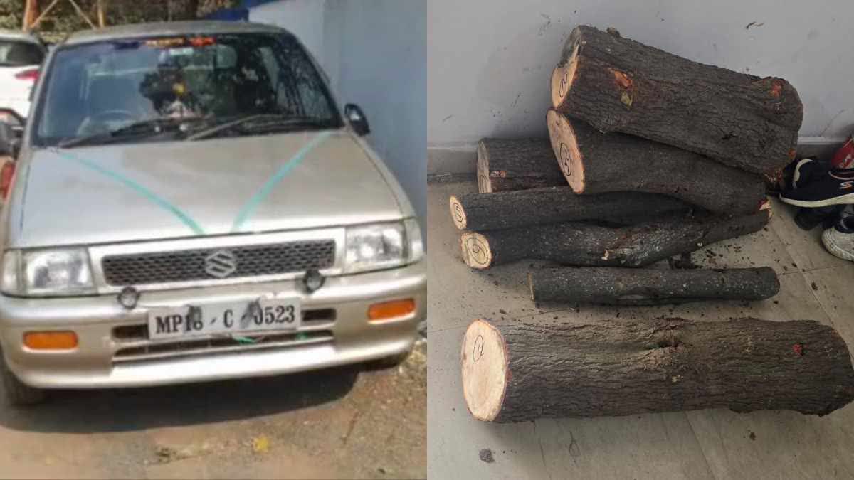 SHAHDOL SANDALWOOD SMUGGLERS ARRESTED