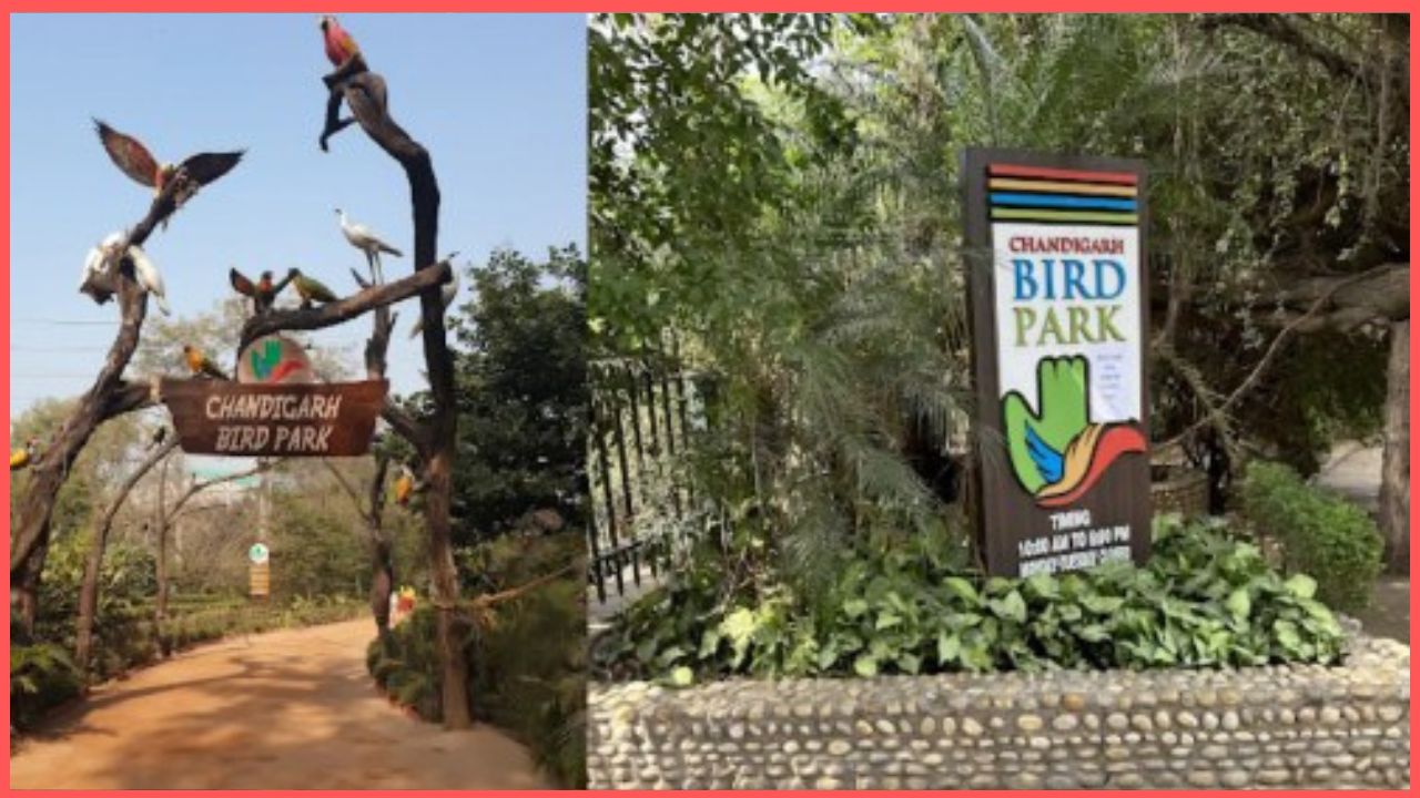 Chandigarh Bird Park