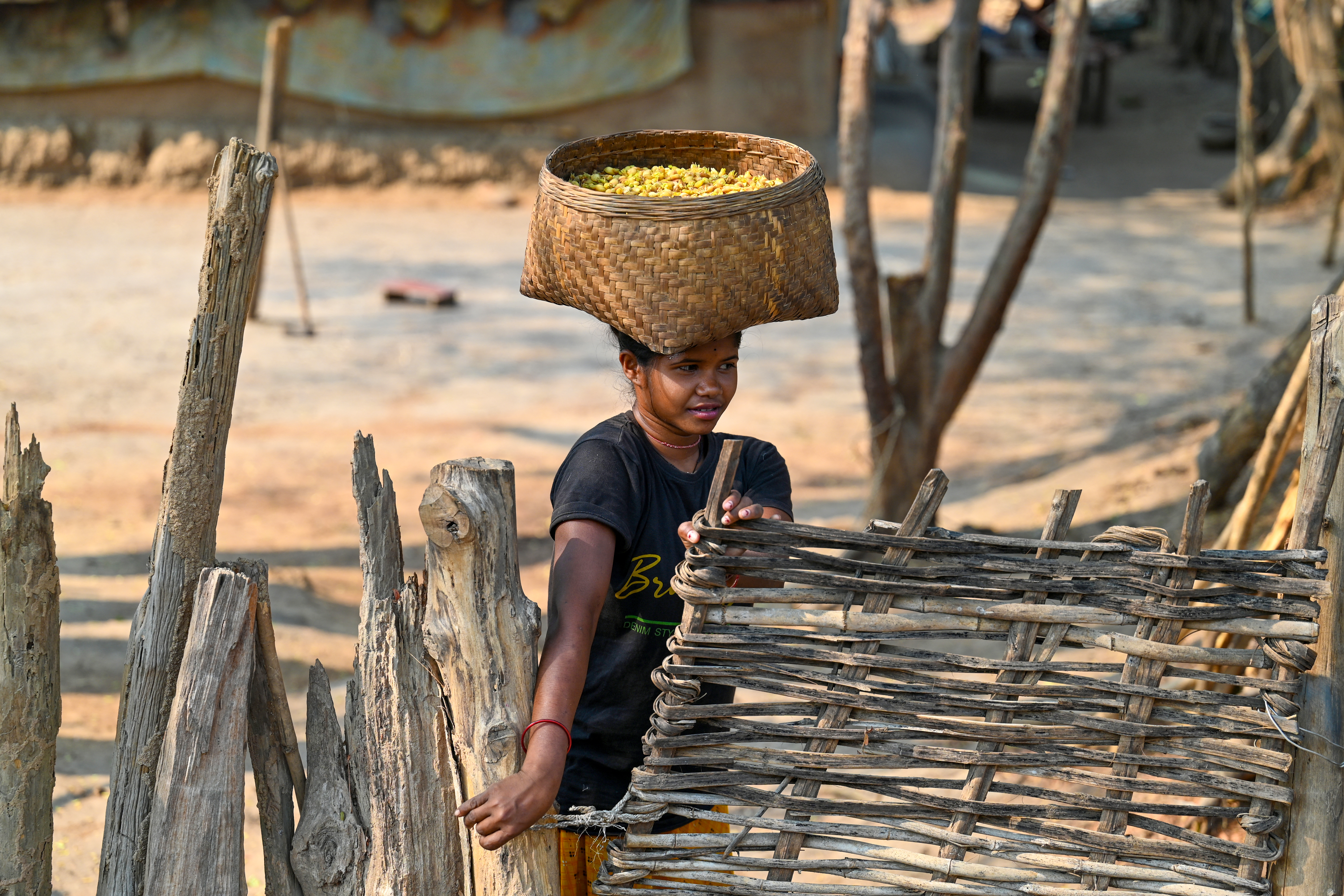 Chhattisgarh