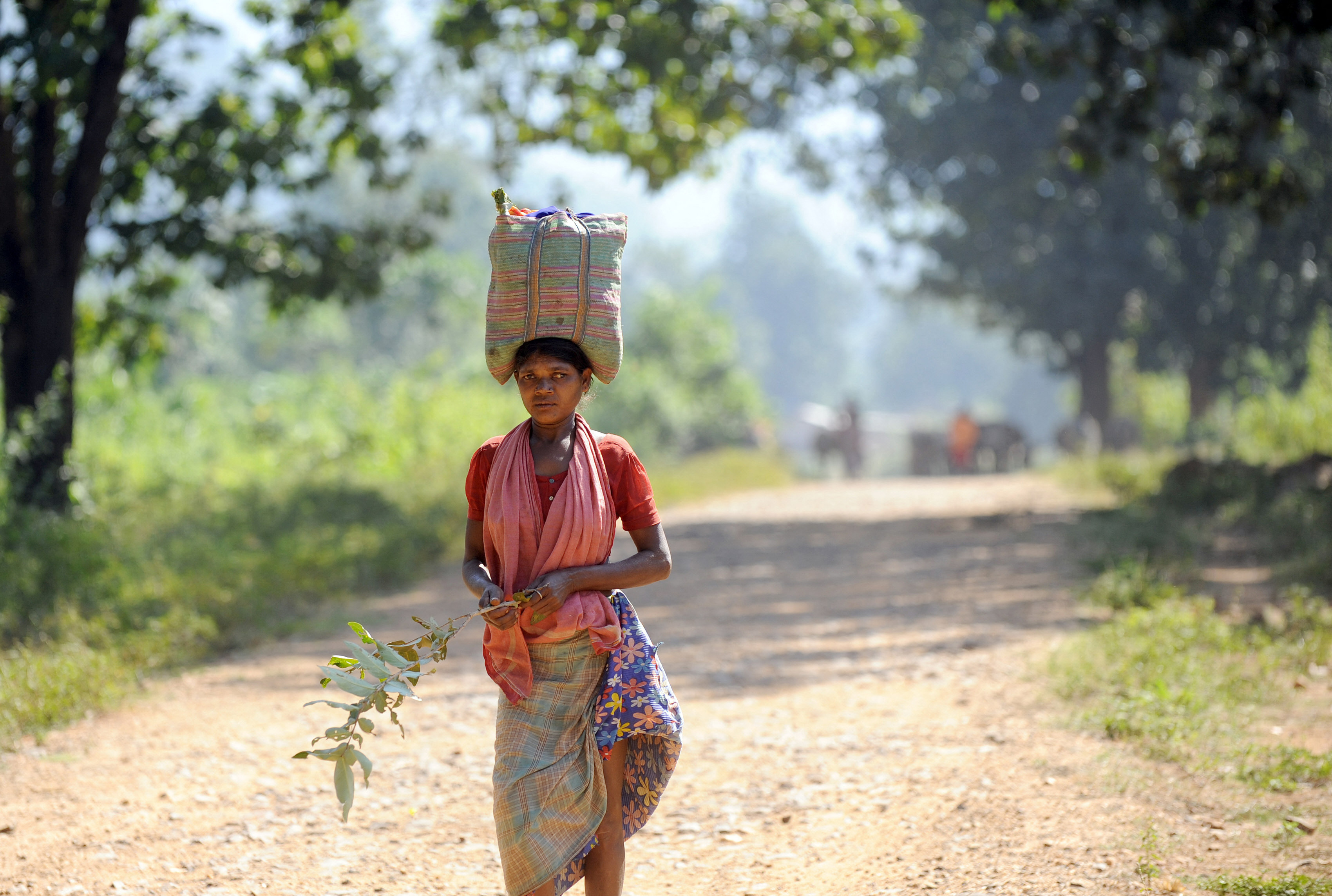 chhattisgarh