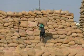 CHHATTISGARH PADDY PROCUREMENT