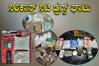 drugs seized in Bengaluru city this year