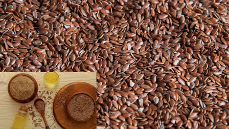 Roasted flax seeds are beneficial in many diseases including diabetes and high cholesterol