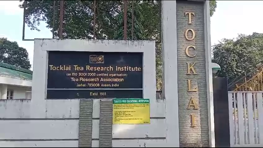 Jorhat based Tea Research Centre finds way to combat pests in Tea Plantation